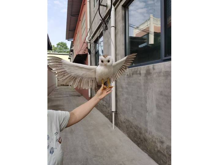 Grande simulation d'ailes en mousse et plumes, modèle de hibou, décoration de jardin, cadeau d'environ 40x70cm, d0599