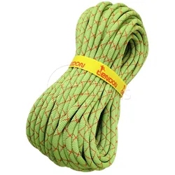 Tendon Smart Lite 9.8 mm Kletterseil grün