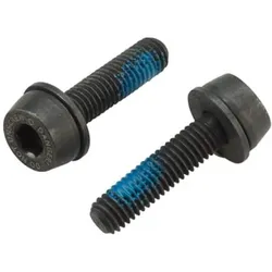CAMPAGNOLO Schrauben für Flat Mount Bremssattel hinten