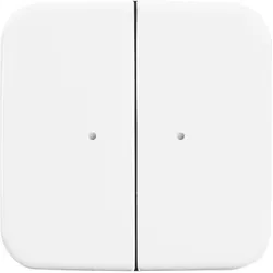 Busch-Jaeger 6732-214 Wandsender WaveLINE 2 Kanal 2CKA006730A0047 6732214