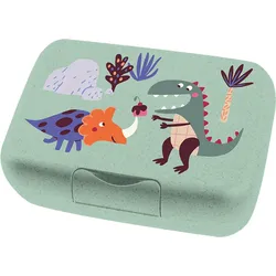 Koziol Candy L Box Lunchbox / Brotdose mit Trennschale green rex