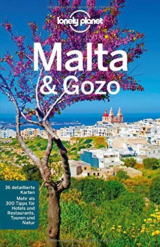 Lonely Planet Reiseführer Malta & Gozo (Lonely Planet Reiseführer Deutsch) - Preis vom 10.10.2026 11:48:34 h