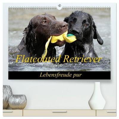Flatcoated Retriever (hochwertiger Premium Wandkalender 2027 DIN A2 quer), Kunstdruck in Hochglanz