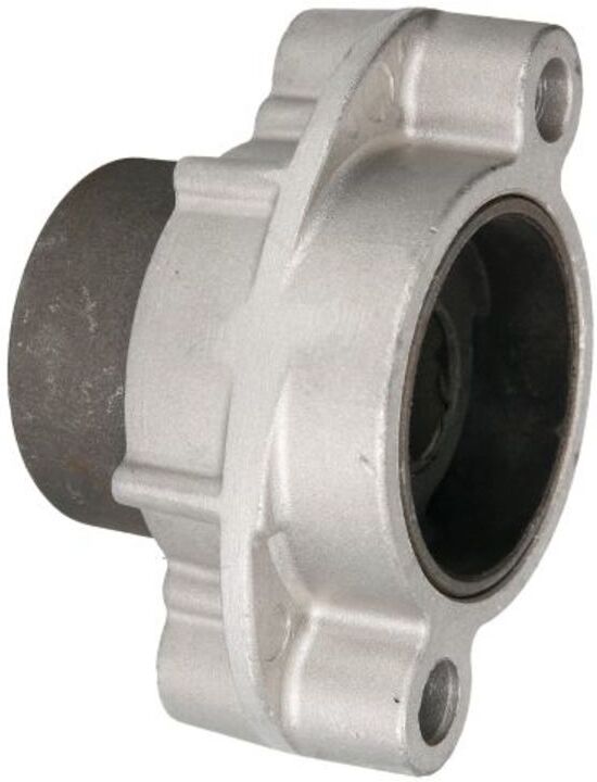 Lagerung, Querlenker REINHOCH RH14-2029