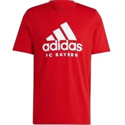 ADIDAS Herren Fanshirt FC Bayern München DNA Graphic, Größe L in Rot Rot