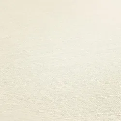 VLIESTAPETE Beige 53x1005cm
