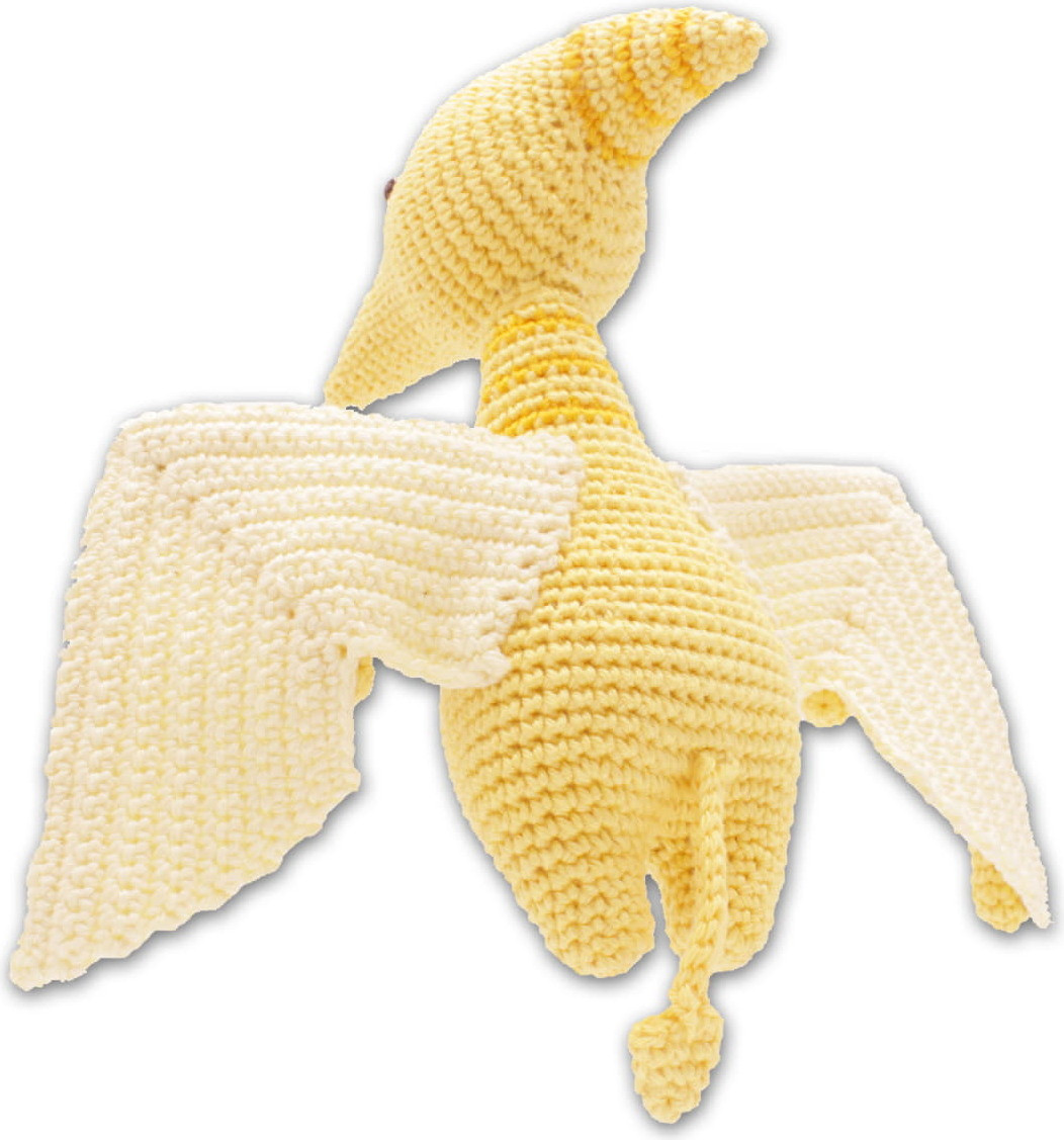 HardiCraft Pteranodon haakpakket