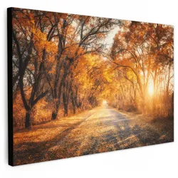LEINWANDBILD Wald - Herbst - Bäume - Waldweg - Natur Wanddeko 90x60 cm