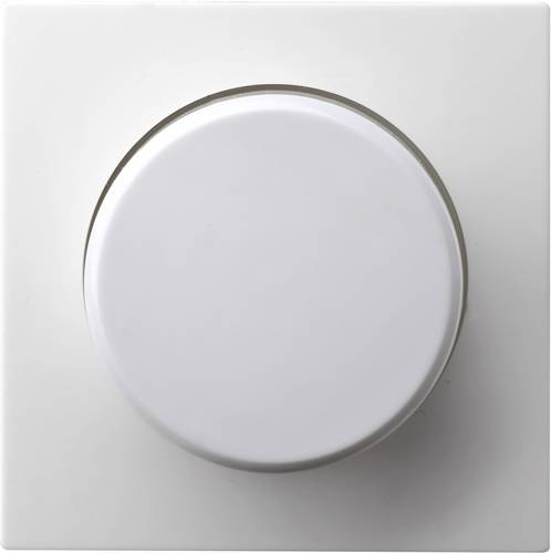 GAO Einsatz Dimmer Modul Weiß EFP701DC 1St.