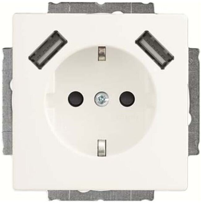 Busch-Jaeger Prise SCHUKO 2x USB 20 EUCB2USB-884 (2CKA002011A6277)