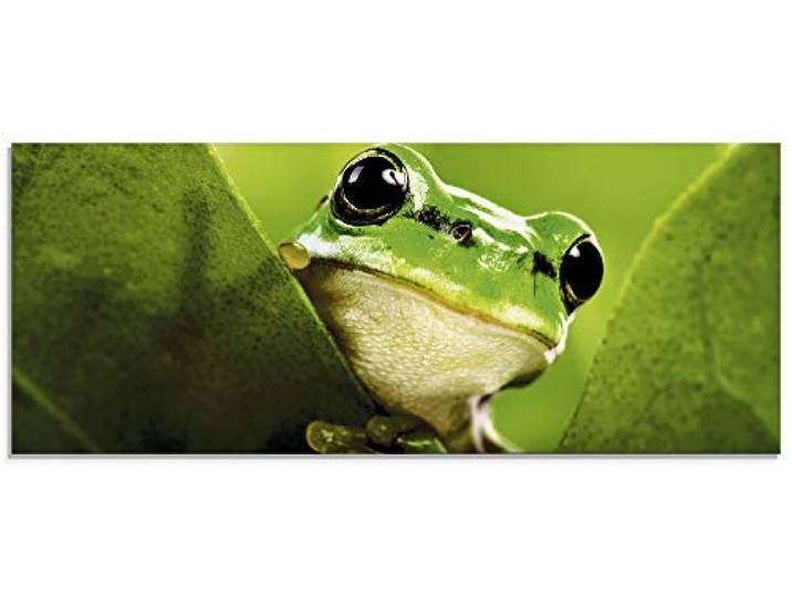 ARTland Wanddeko Glasbilder Wandbild Glas Bild einteilig 125x50 cm Querformat Natur Tiere Frosch Amphibien Pflanzen Blätter T5VH