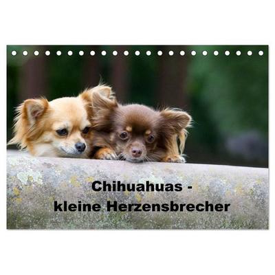 Chihuahuas - kleine Herzensbrecher (Tischkalender 2027 DIN A5 quer), CALVENDO Monatskalender