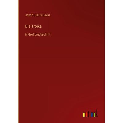 Die Troika, Gebundene Ausgabe von Jakob Julius David, Outlook, 978-3-368-29523-3