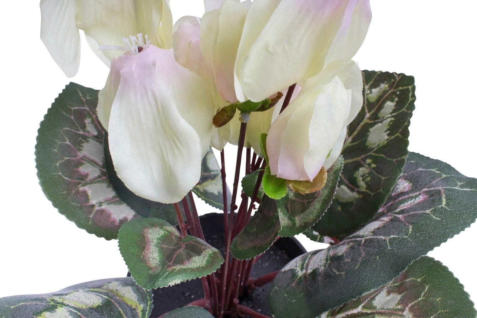 Kunstblume BOTANIC-HAUS "Alpenveilchen", pink (creme, pink), B:20cm H:24cm T:20cm Ø:20cm, Kunststoff, Kunstpflanzen, Kunstblume