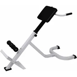 vidaXL, Bauchtrainer