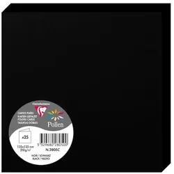 Pollen 250x Doppelkarte Pollen 135x135mm 210g - Schwarz 2805C