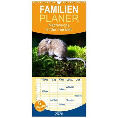 Familienplaner 2026 - Nachwuchs in der Tierwelt mit 5 Spalten (Wandkalender, 21 x 45 cm) CALVENDO
