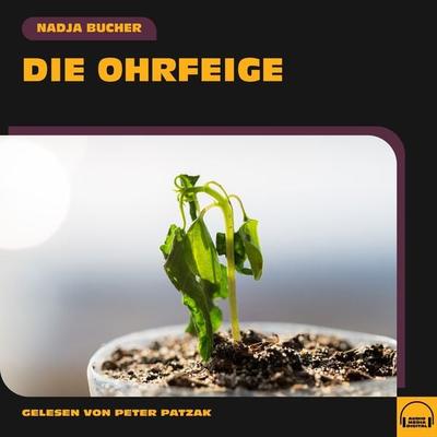 Die Ohrfeige - Nadja Bucher, Audio, 9783991570943