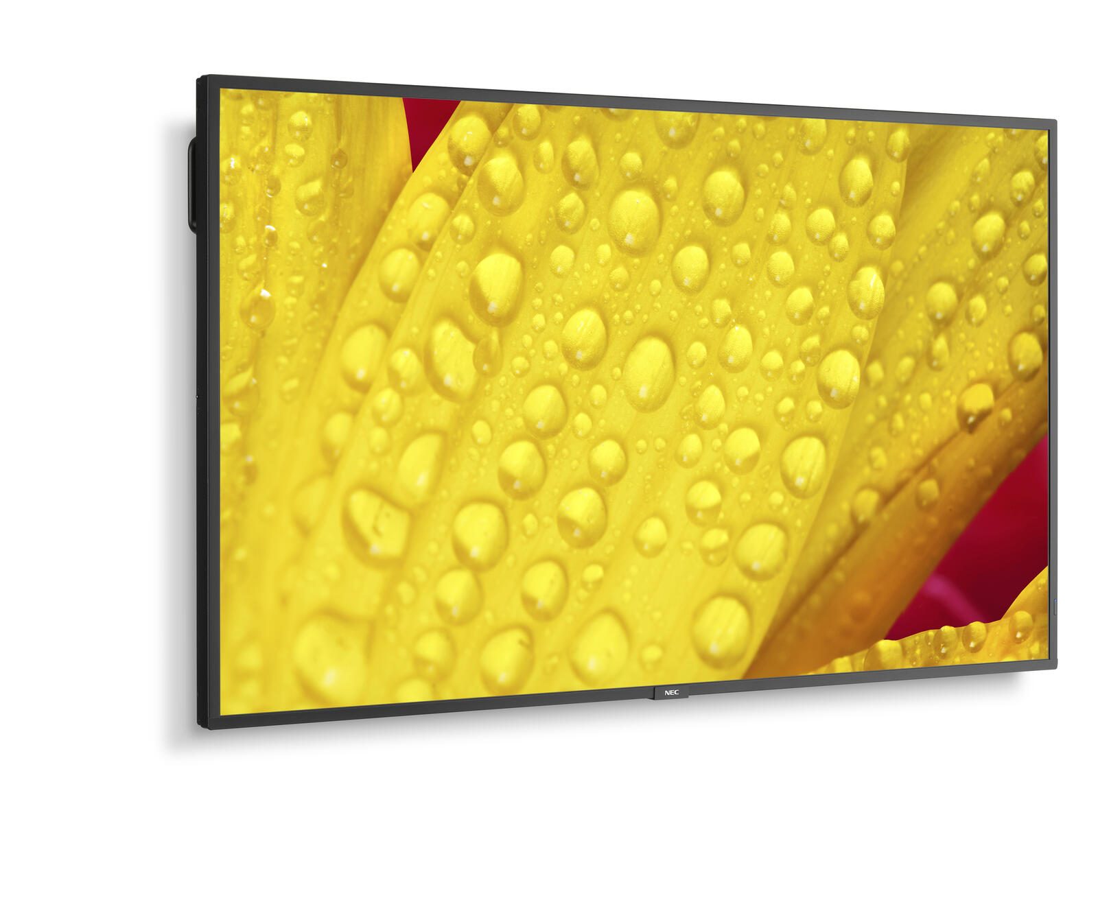 Sharp Display Solutions NEC MultiSync M651-2 Digital Signage Display 163,9 cm 65 Zoll L50M651-2