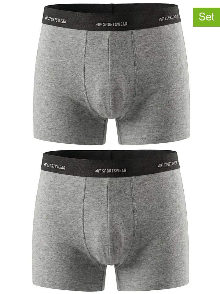 4F 2er-Set: Boxershorts in Grau - XL