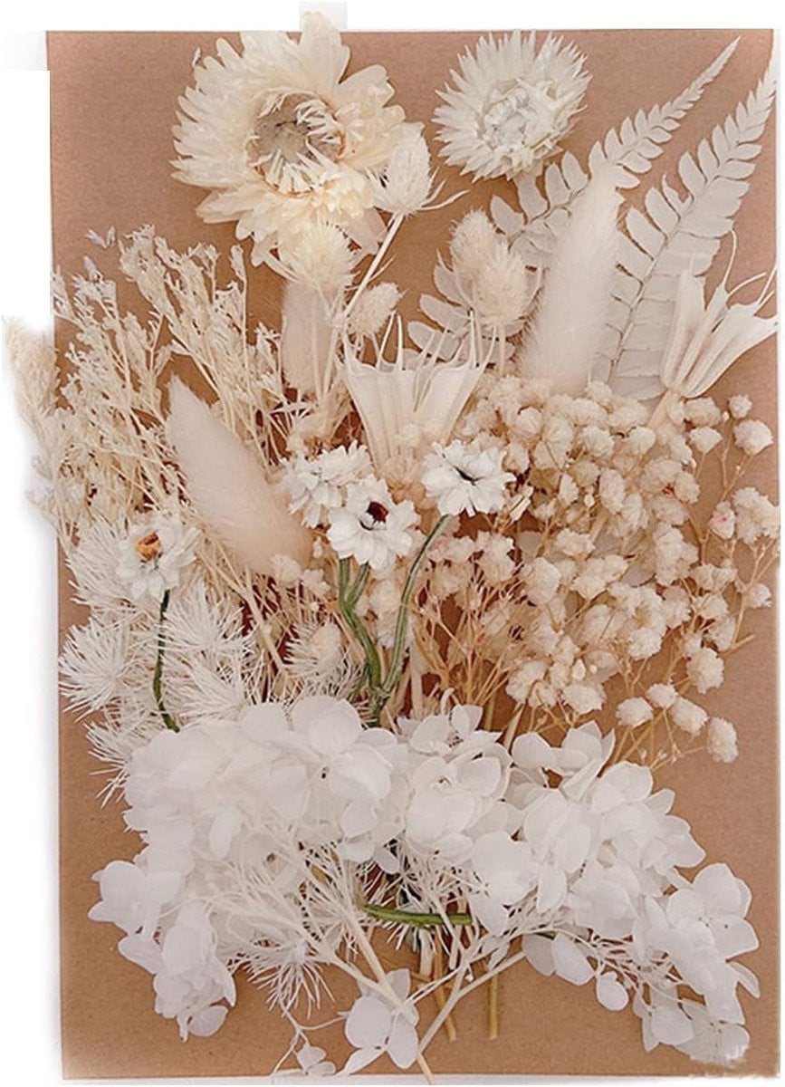 Diverse soorten gedroogde bloemen voor natuurlijke decoratie en creatief hobbywerk