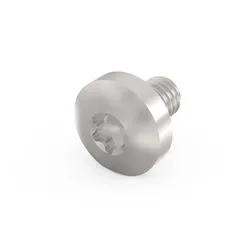SCHROFF Linsenkopfschraube mit Torx - TORX-LINSKOSCHR.M4X6 (100ST)