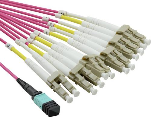 Value 21.99.1100 Glasfaser LWL Anschlusskabel 2.00 m Violett [1x MPO Stecker - 12x LC-Stecker] 50/125 µ