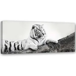 BILD AUF LEINWAND Tiger Wildtiere Natur 90x30cm