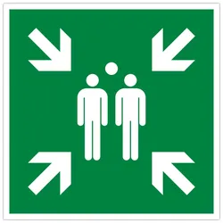Exacompta 67120E 1x Hinweisschild PP, nicht selbstklebend, Sammelplatz 30 cm - Grün