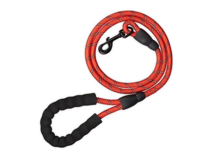 Relaxdays Laisse rouge de 150 cm pour chien