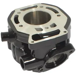 Athena, Motorrad Zubehör, ZYLINDER HONDA MTX R2H 125, NS F 125, 56,00 MM NICASYL