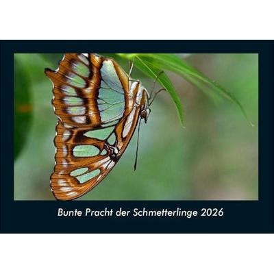 Bunte Pracht der Schmetterlinge 2026 Fotokalender DIN A4
