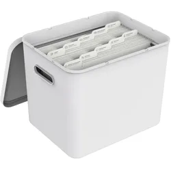 Rotho, Dokumentenablage, Meine Papiere-Dokumente-Organizer-Box (A4)