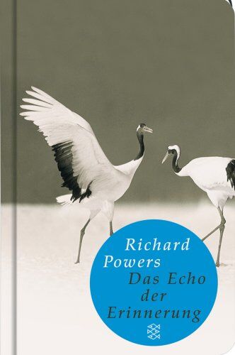 Richard Powers - Das Echo der Erinnerung: Roman (Fischer Taschenbibliothek) - Preis vom 30.09.2026 09:01:18 h