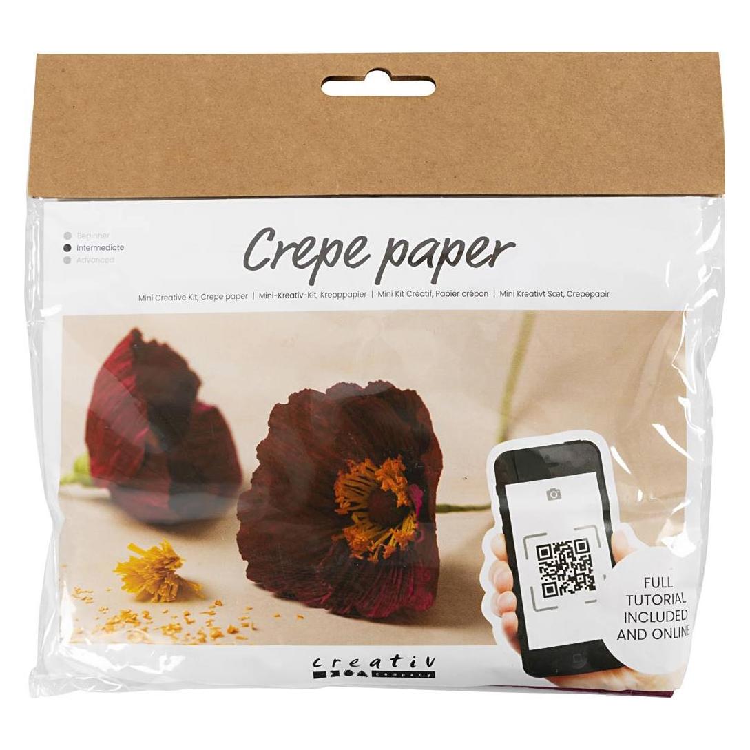 Creativ Company Mini Bastelset Krepppapier (977470)