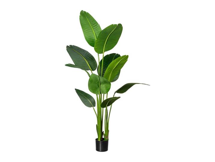 Kunstpflanze Strelitzie H: 160 cm