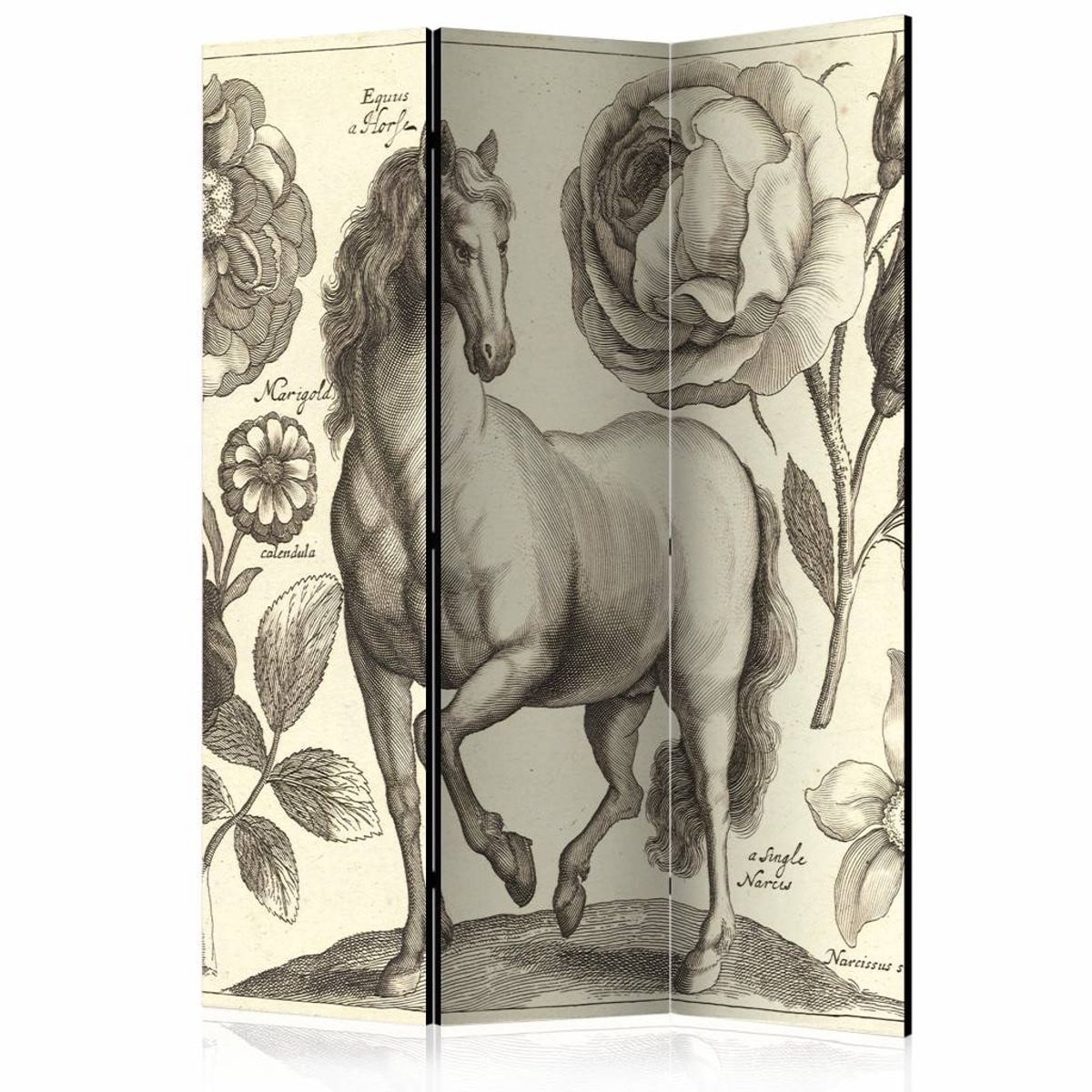 Dubbelzijdig geprint vouwscherm met paardenmotief, 135 x 172 cm