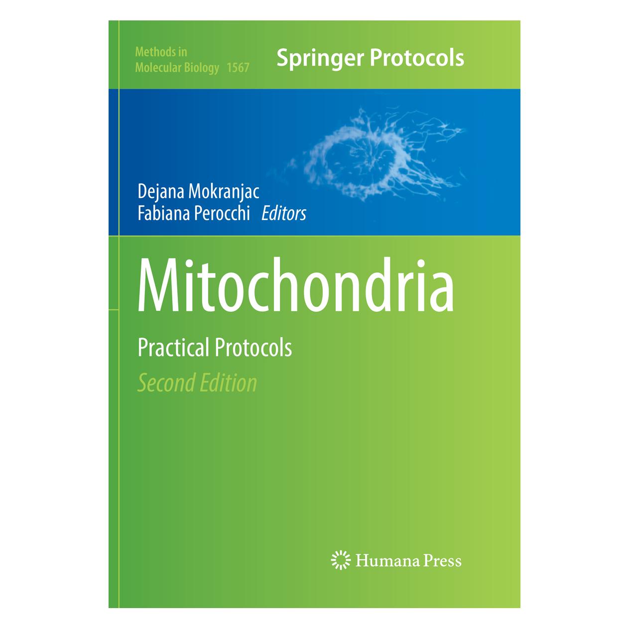 Springer Mitochondria (Englisch, Softcover, Dejana Mokranjac, Fabiana Perocchi) (56006591)