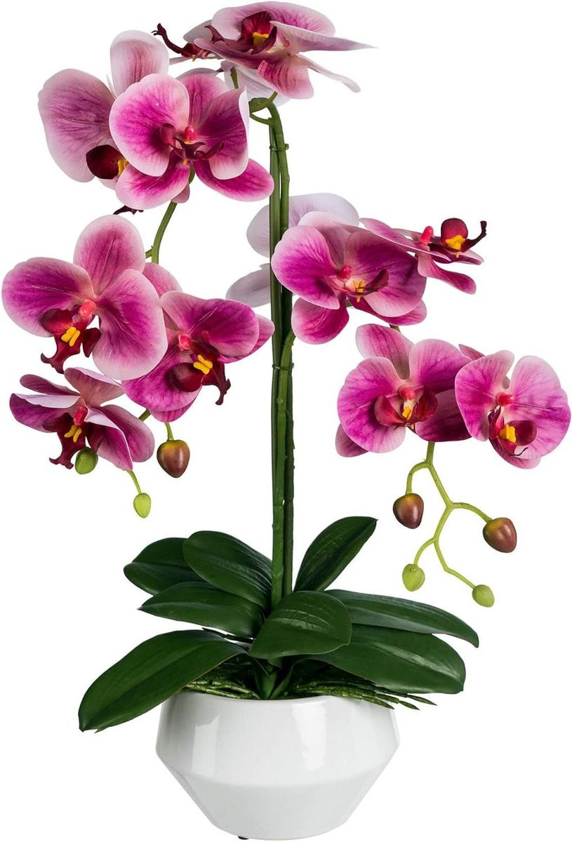 Kunstorchidee Phalaenopsis Lila - Kunstbloem met Natuurlijke Uitstraling - 52 cm