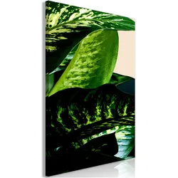 Artgeist, Bilder, Dieffenbachia (1 Part) Vertical (80 x 120 cm)