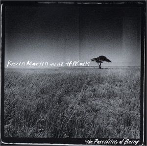 Martin, Kevin & the Hiwatts - Possibility of Being - Preis vom 15.10.2026 23:06:25 h