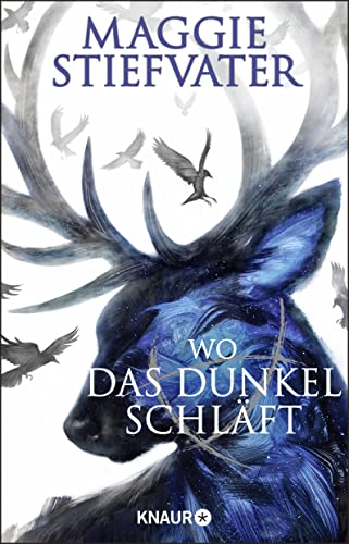 Maggie Stiefvater - Wo das Dunkel schläft: Das phänomenale Finale der Raven-Boys-Reihe von Bestseller-Autorin Maggie Stiefvater - Preis vom 09.10.2026 07:28:09 h