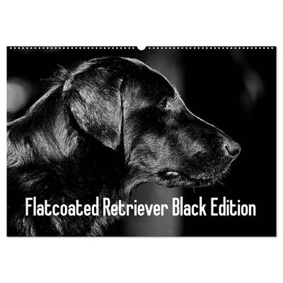 Flatcoated Retriever Black Edition (Wandkalender 2026 DIN A2 quer), CALVENDO Monatskalender