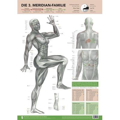 Die 3. Meridian-Familie von Mike Mandl., Sonstige von Mike Mandl, Bacopa, 978-3-903071-90-2