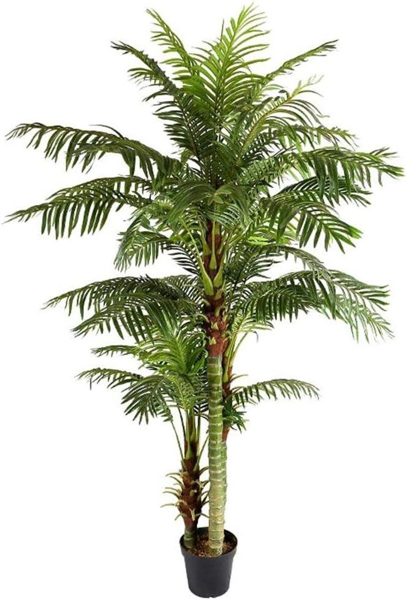 Kunstpalm Hawaii Arecapalm met 3 stammen - Groen - Hoogte: 235 cm