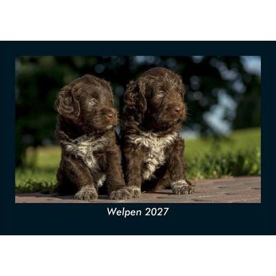 Welpen 2027 Fotokalender DIN A5