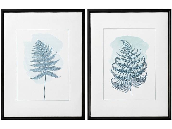 Bild mit Rahmen CREATIV HOME Deko-Bild FARN , blau (farbe rahmen: schwarz, farbe bild(er): grün), B:30cm H:40cm T:2,5cm, Bilder, Bild mit Rahmen, in schöner Farbgebung