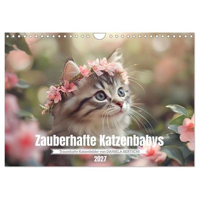 Zauberhafte Katzenbabys (Wandkalender 2027 DIN A4 quer), CALVENDO Monatskalender