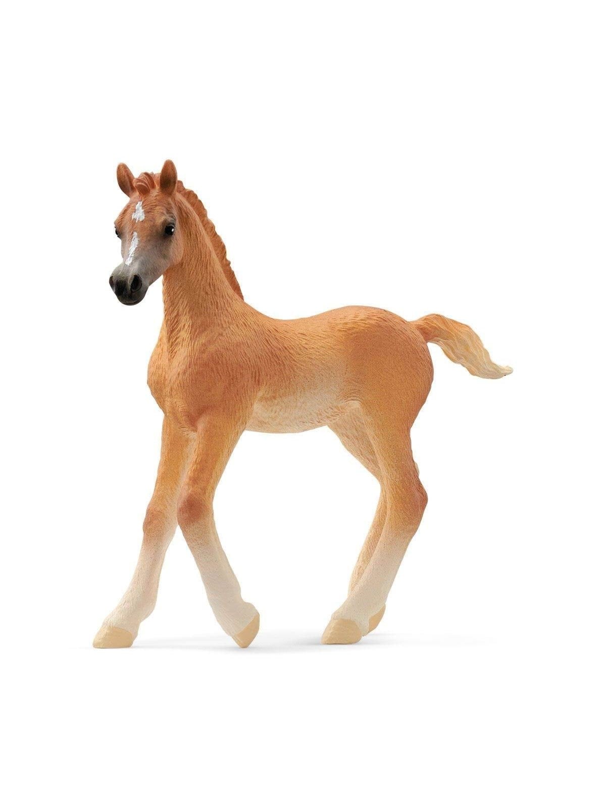 Schleich Arabisches Fohlen