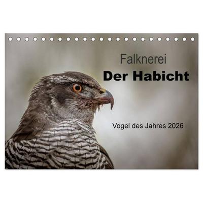 Falknerei Der Habicht (Tischkalender 2026 DIN A5 quer), CALVENDO Monatskalender